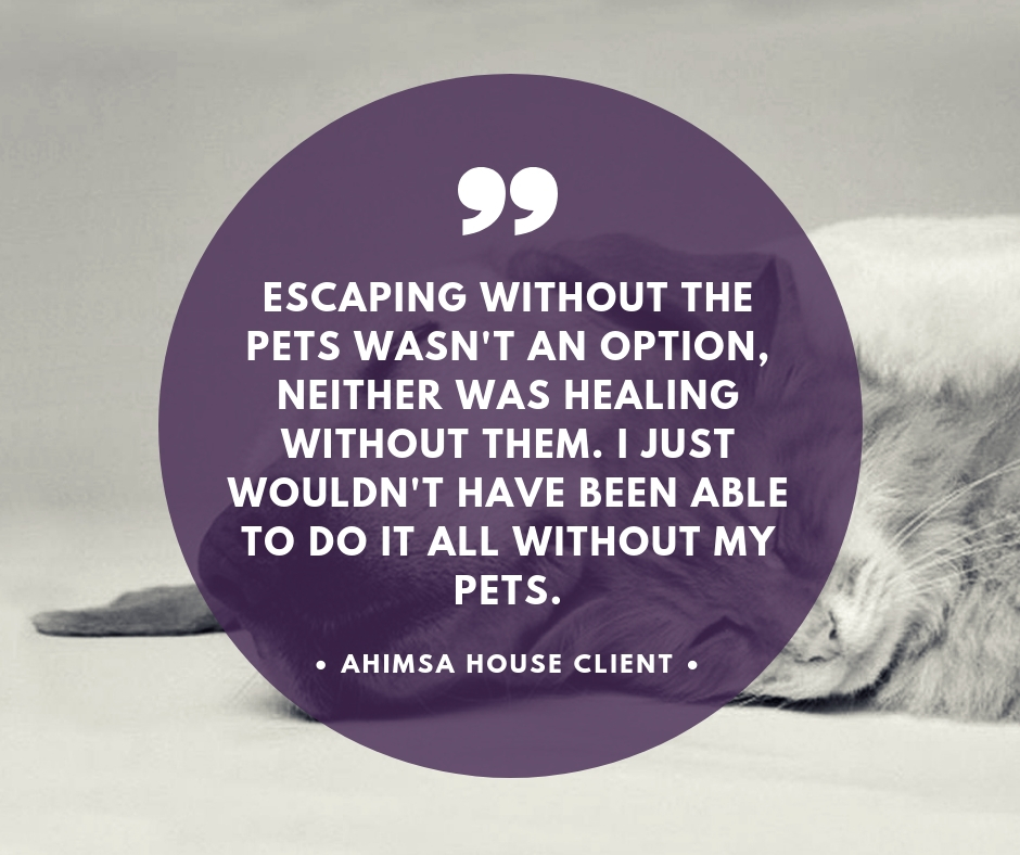 Ahimsa house client pet care testimony