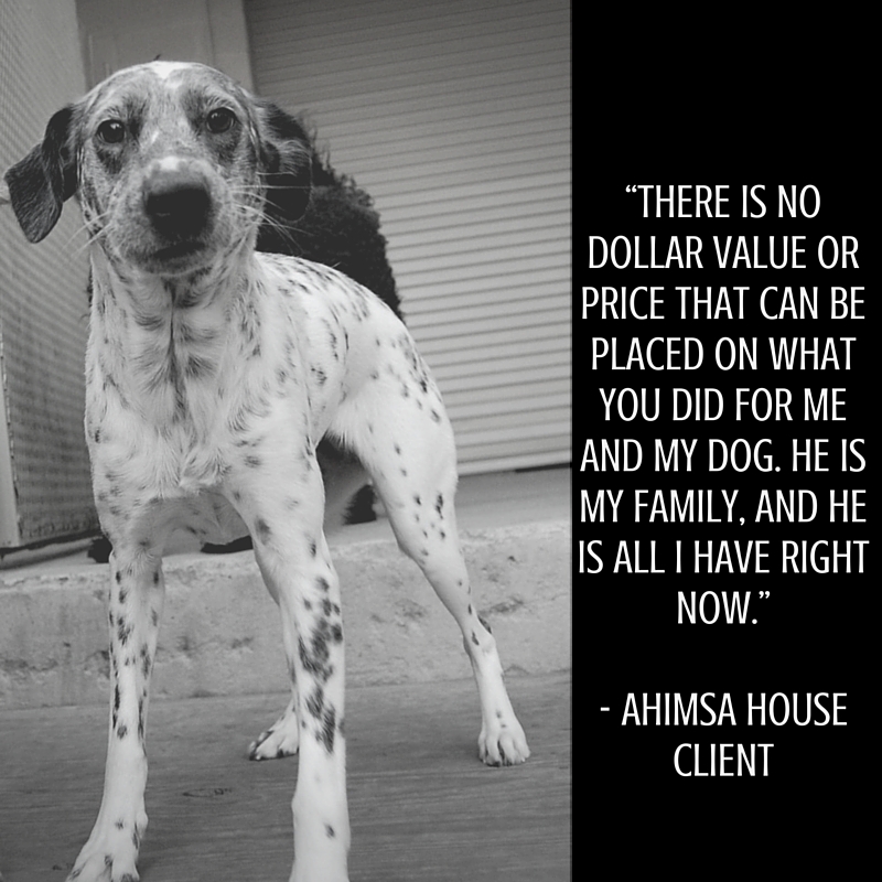 Ahimsa house client testimonial