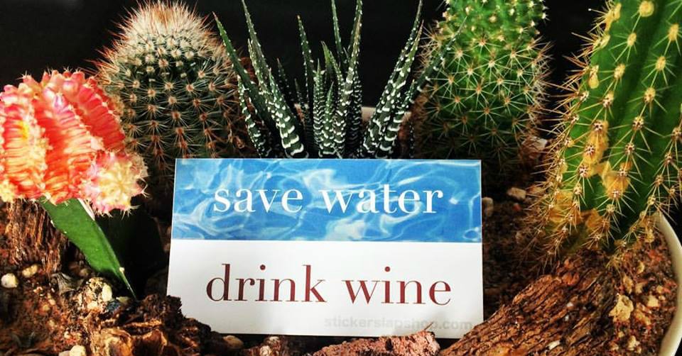 Save Water Drink Wine Sticker