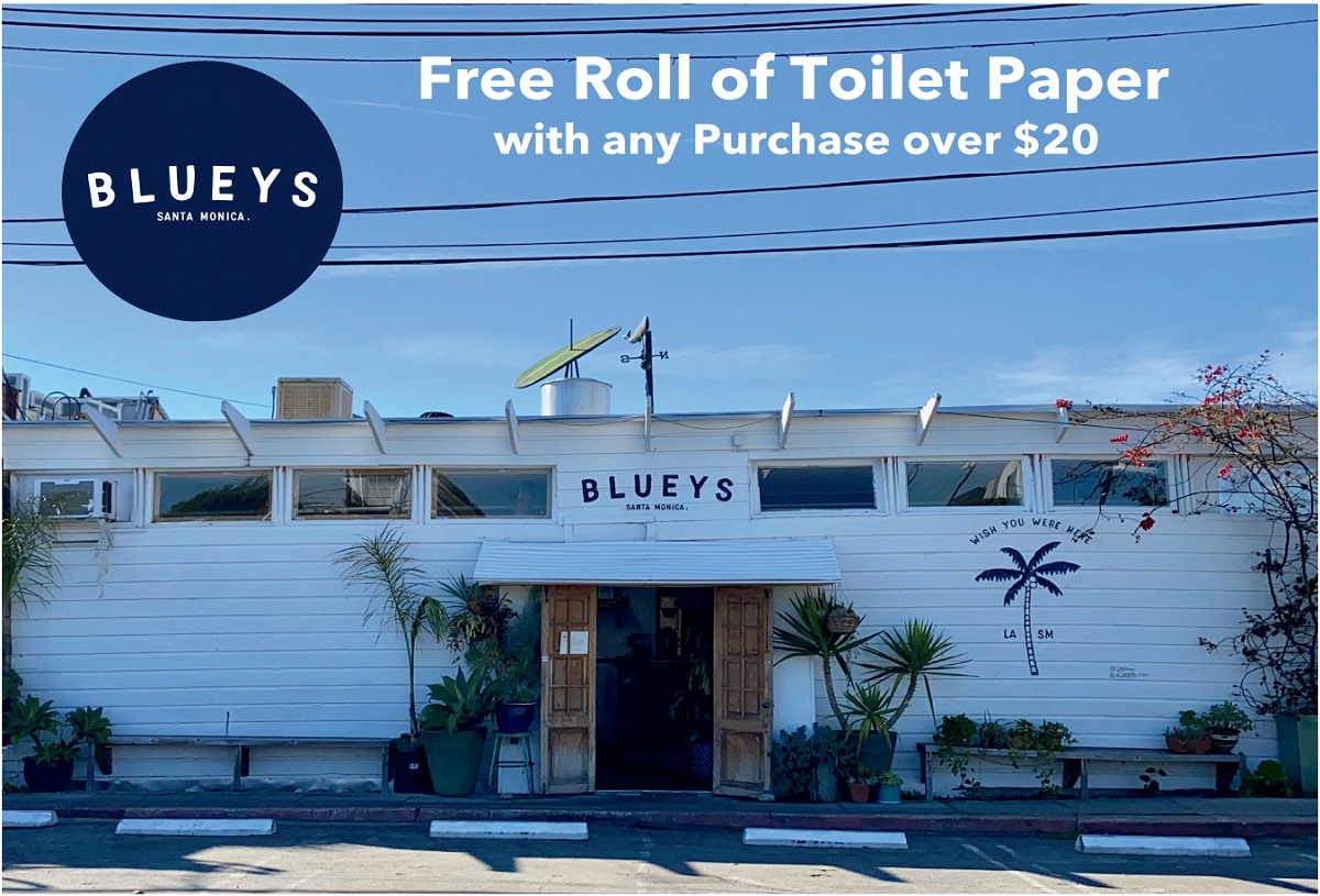 bluey's kitchen postcard free toilet paper