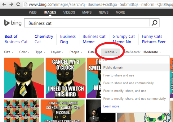 Bing Image Search