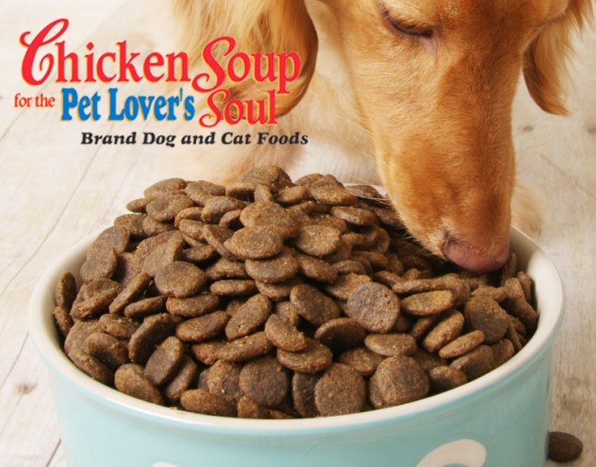 chicken soup for the pet lover's soul