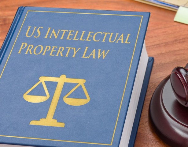 Intellectual Property Law Book