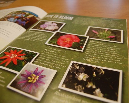 The Garden Path Newsletter Inside