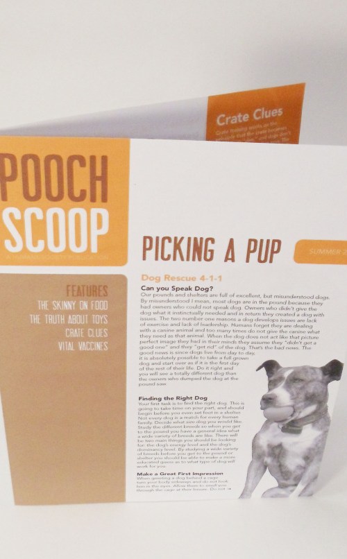 Pooch Scoop Newsletter