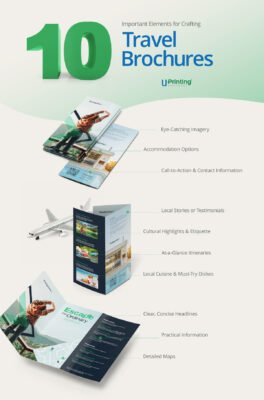 Travel Brochures Elements Infographic